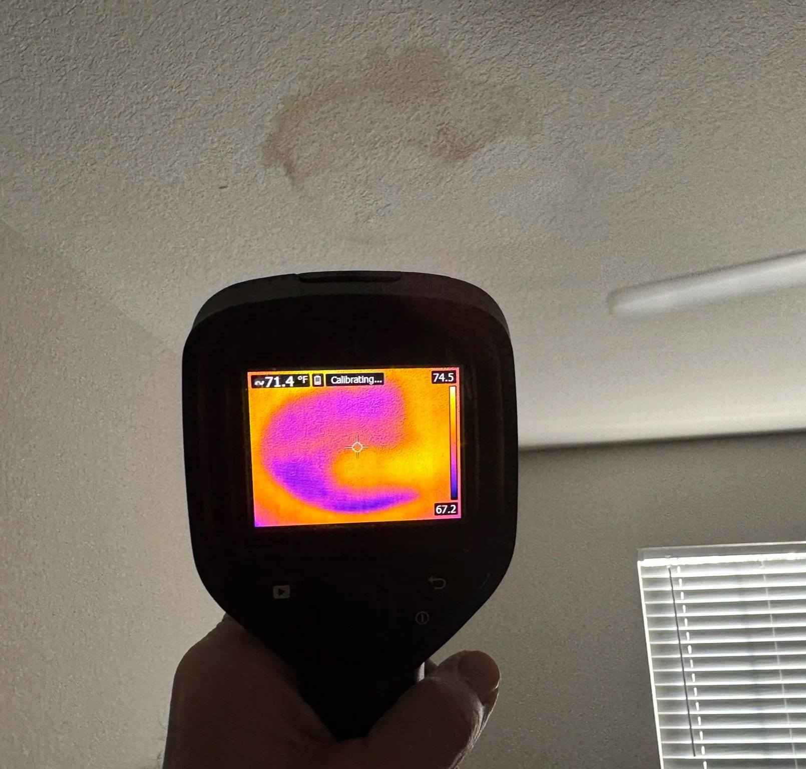 Mold remediation and moisture infiltration